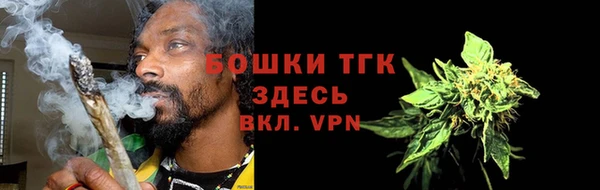 соль ск Инсар