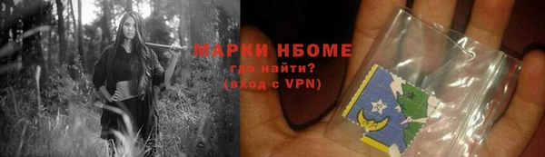 соль ск Инсар