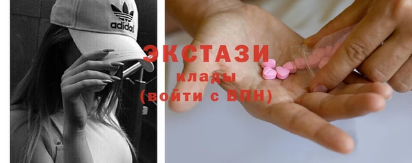 соль ск Инсар