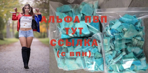 соль ск Инсар