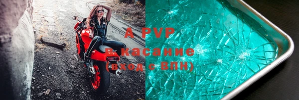 соль ск Инсар