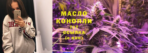 соль ск Инсар