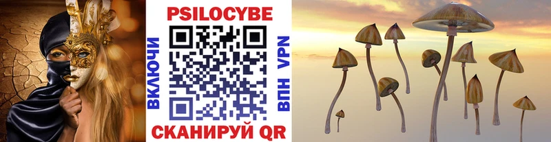 Галлюциногенные грибы Psilocybine cubensis  Купить  Ханты-Мансийск 